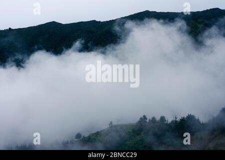 Neblige Berg im Frühling Morgen vor der Stadt Medellin Kolumbien Baum Stockfoto