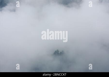 Neblige Berg im Frühling Morgen vor der Stadt Medellin Kolumbien vier Stockfoto