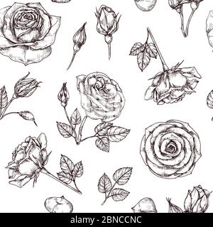 Rosen nahtloses Muster. Handgezeichnete Rose floral Textere. Blume Stoff wiederholen Vektor Vintage Hintergrund. Rose mit Blütenblatt Skizze Illustration Stock Vektor