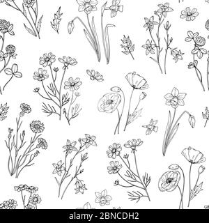 Wildes Blumenmuster. Florale nahtlose Tapete mit Wildblumen. Vintage Stoff Vektor Hintergrund. Illustration von nahtlosen Muster wilde Blume Sommer Stock Vektor