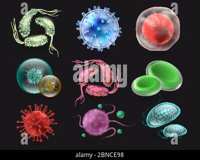 Bakterien und Viren Vektor-Set, Mikrobiologie Elemente auf schwarzem Hintergrund isoliert. Sammlung von bakteriellen Organismus, Krankheit Mikrobe Illustration Stock Vektor