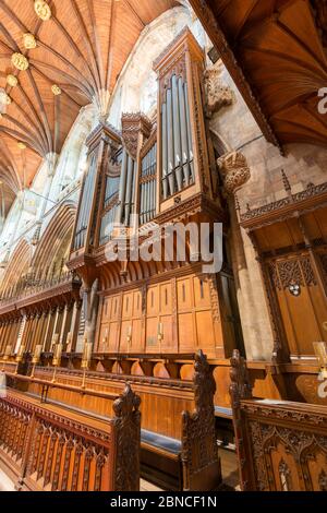 Die berühmte William Hill Orgel im Chor der Selby Abbey in North Yorkshire, England Stockfoto