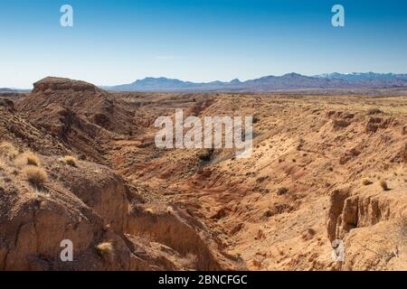 Wüste Canyon, karge Landschaft mit felsigen Gelände, entfernte Bergkette in New Mexico, horizontale Aspekt Stockfoto