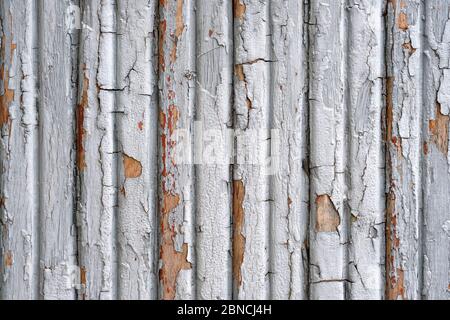 Alte Holzbretter in grauer Farbe gestrichen. Schmale Holzlatten mit abblätterndem, verblichenem Farbhintergrund. Zaun aus Brettern, Textur. Vertikale Linien auf grung Stockfoto