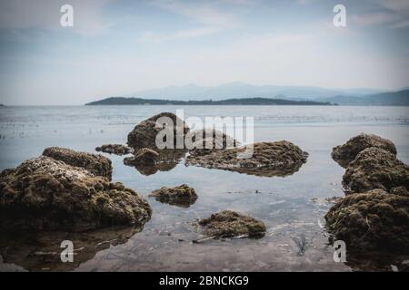 Schöne Aufnahme von Felsen im Wasser - perfekt für Hintergrund Stockfoto