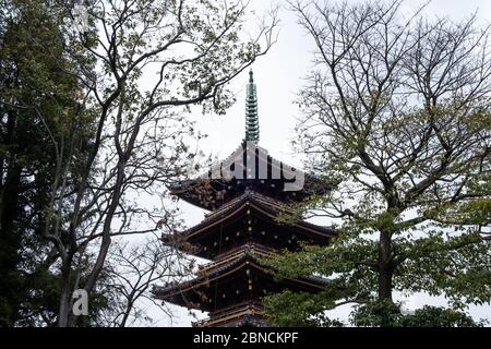 Ansicht der Kan ei ji Original fünfstöckigen Pagode im Ueno Park, Tokio, Japan Stockfoto