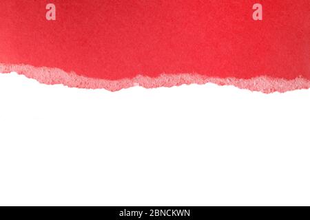 Zerrissene Stücke von rotem Papier isoliert auf weißem Hintergrund. Papierstück abgerissene Kante. Reißen Sie das Blatt Papier ab. Kopieren Sie Raum, Rahmen, Banner Stockfoto