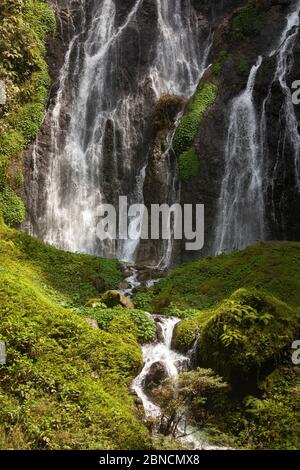 Nahaufnahme des frischen, lauten und intensiven Wassers im Tumpak Sewu Wasserfall in Ost-Java, Indonesien. Stockfoto