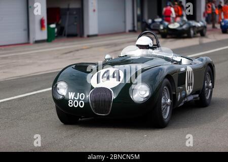 Paul Pochciol fährt seinen 1953-Grad-Jaguar C-TYPE während der Qualifying Session für die RAC Woodcote Trophy für die Pre '56 Sportscars Stockfoto