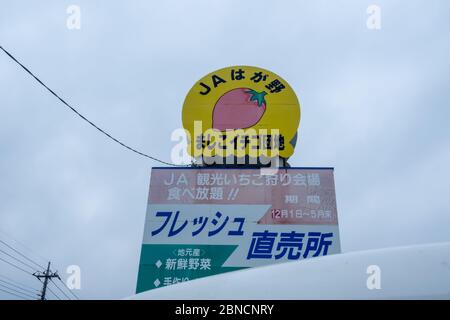 Tochigi, Japan - 21. März 2019: Blick auf ja Hagano Mashiko Erdbeerpflückerei Schild und Symbol in Mashiko, Tochigi, Japan. Stockfoto