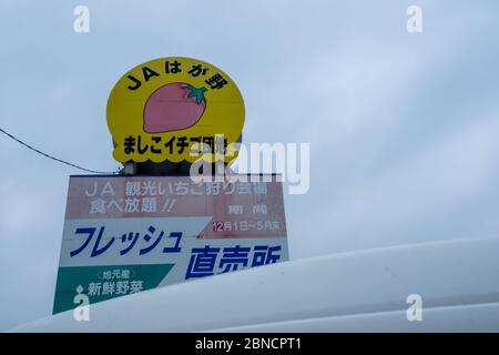 Tochigi, Japan - 21. März 2019: Blick auf ja Hagano Mashiko Erdbeerpflückerei Schild und Symbol in Mashiko, Tochigi, Japan. Stockfoto