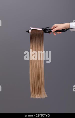 Proben von gefärbten Haaren. Haarschnitt für Haarverlängerungen auf grauem Hintergrund Stockfoto