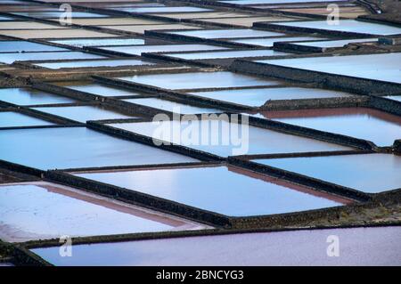 Industriedenkmal Salinas de Janubio, Salzproduktionsanlage auf der Insel Lanzarote, Kanarische Inseln, Spanien, Europa Stockfoto