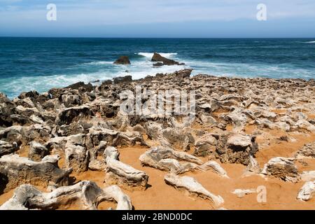 Fischerroute im Alentejo, Promenade mit Klippen in Portugal. Holzweg entlang der Küste. Stockfoto