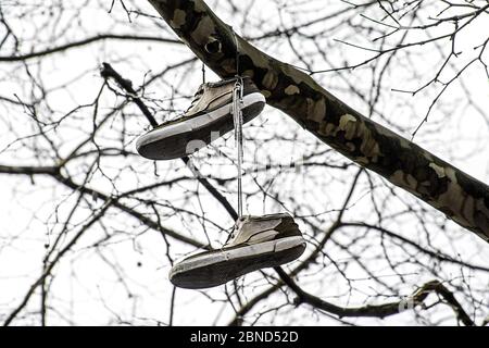 Ein Paar dunkle und hellbraune, alte Sneakers hängen an einem Ast Stockfoto