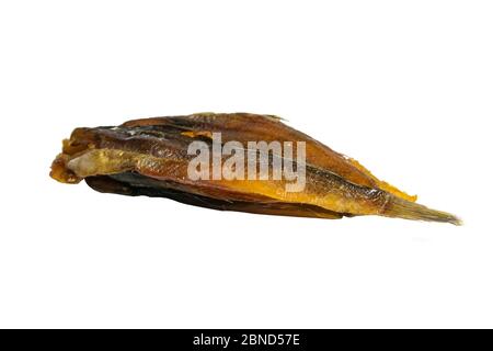 Getrockneter blauer Wittling auf weißem Hintergrund. Snack zu Bier. Nahaufnahme Stockfoto