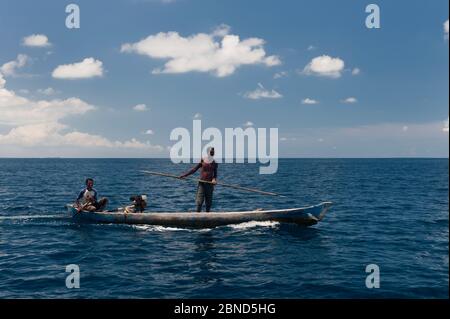 Molukken-Fischer in ihrem Dugout-Kanu während der traditionellen Leatherback Schildkrötenjagd (Dermochelys coriacea) Kei Kecil Island, Moluccas, Indonesien. Stockfoto