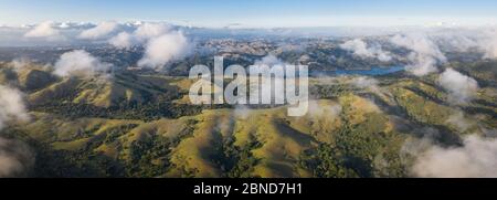 Luftaufnahme der Hügel östlich der Bucht von San Francisco. Dieser schöne Teil Kaliforniens ist im Winter grün und im Sommer und Herbst golden. Stockfoto