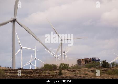 Whitelee Windfarm, Schottland, Großbritannien. Mai 2020. Im Bild: Die Whitelee Windpark gehört zu Scottish Power Renewables und ist mit 215 Turbinen der größte Onshore-Windpark Großbritanniens, der eine Gesamtleistung von 539 Megawatt Strom erzeugt, was für knapp 300,000 Haushalte ausreicht. Da die britische und die schottische Regierung eine Ausstiegsstrategie für die Sperrung des Coronavirus (COVID-19) planen, muss die Nachfrage nach einem erhöhten Stromverbrauch mit den Überlegungen und Verantwortlichkeiten von Klimaschutzplänen in Einklang gebracht werden. Quelle: Colin Fisher/Alamy Live News Stockfoto