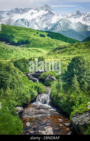 Klares Wasser in einem Bergbach vor dem Hintergrund eines Gletschers in den Berggipfeln Stockfoto