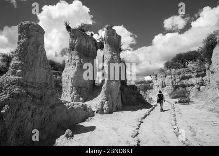 Silhouette einer Person Wandern auf einem Weg in der Wüste Stockfoto