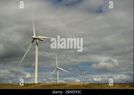 Whitelee Windfarm, Schottland, Großbritannien. Mai 2020. Im Bild: Die Whitelee Windpark gehört zu Scottish Power Renewables und ist mit 215 Turbinen der größte Onshore-Windpark Großbritanniens, der eine Gesamtleistung von 539 Megawatt Strom erzeugt, was für knapp 300,000 Haushalte ausreicht. Da die britische und die schottische Regierung eine Ausstiegsstrategie für die Sperrung des Coronavirus (COVID-19) planen, muss die Nachfrage nach einem erhöhten Stromverbrauch mit den Überlegungen und Verantwortlichkeiten von Klimaschutzplänen in Einklang gebracht werden. Quelle: Colin Fisher/Alamy Live News Stockfoto