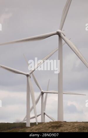 Whitelee Windfarm, Schottland, Großbritannien. Mai 2020. Im Bild: Die Whitelee Windpark gehört zu Scottish Power Renewables und ist mit 215 Turbinen der größte Onshore-Windpark Großbritanniens, der eine Gesamtleistung von 539 Megawatt Strom erzeugt, was für knapp 300,000 Haushalte ausreicht. Da die britische und die schottische Regierung eine Ausstiegsstrategie für die Sperrung des Coronavirus (COVID-19) planen, muss die Nachfrage nach einem erhöhten Stromverbrauch mit den Überlegungen und Verantwortlichkeiten von Klimaschutzplänen in Einklang gebracht werden. Quelle: Colin Fisher/Alamy Live News Stockfoto