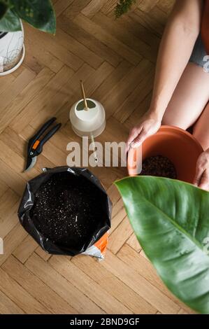 Frau halten Topf mit Drainage neben Boden und Gießen Dose auf dem Boden Stockfoto