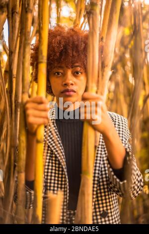 Ein Modell der Dominikanischen Nationalität fotografiert in Bambus greifen Stockfoto
