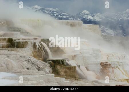 Landschaft der Old Faithful Geyser, Yellowstone, Wyoming, USA, Februar. Stockfoto