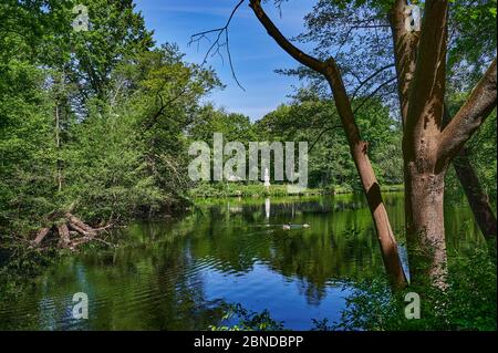 Ländliche Szene in einem öffentlichen Park mitten in der Hauptstadt Berlin, Deutschland, mit Blick auf Bäume, die sich im Wasser spiegeln. Stockfoto