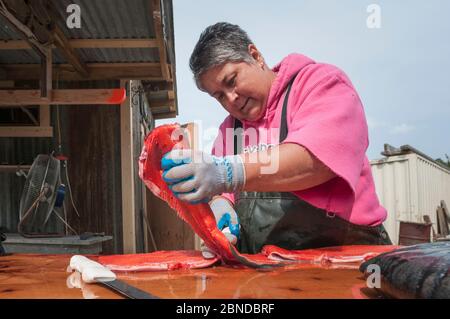 Einheimischer Alaskan bereitet Sockeye Lachs (Oncorhynchus nerka) für traditionelles Rauchen vor. Naknek, Bristol Bay, Alaska, USA, Juni. Modell freigegeben. Stockfoto