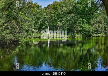 Ländliche Szene in einem öffentlichen Park mitten in der Hauptstadt Berlin, Deutschland, mit Blick auf Bäume, die sich im Wasser spiegeln. Stockfoto