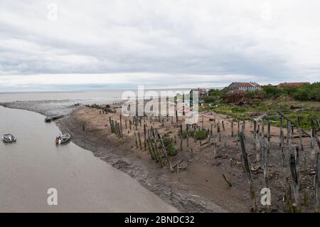 Set Kiemennetz Fischerei auf Sockeye Lachs (Oncorhynchus nerka) von der Küste, Friedhof Point, Bristol Bay, Alaska, USA, Juli 2015. Stockfoto