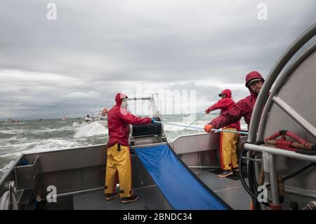 Fischer, die das Netz für Sockeye Lachs (Oncorhynchus nerka) fallen lassen und versuchen, ein anderes Boot zu übermanövrieren. Naknek River, Bristol Bay, Alaska, USA, J Stockfoto