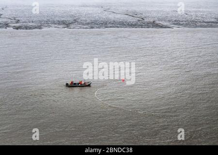 Set Kiemennetz Fischerei auf Sockeye Lachs (Oncorhynchus nerka), Graveyard Point, Bristol Bay, Alaska, USA, Juli 2015. Stockfoto