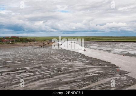 Set Kiemennetz Fischerei auf Sockeye Lachs (Oncorhynchus nerka) von der Küste, Friedhof Point, Bristol Bay, Alaska, USA, Juli 2015. Stockfoto