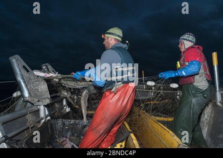 Fischer schleppen in gesetzten Kiemennetz während der Fischerei für Sockeye Lachs (Oncorhynchus nerka) in der Nacht, Graveyard Point, Bristol Bay, Alaska, USA, Juli 2015. M Stockfoto