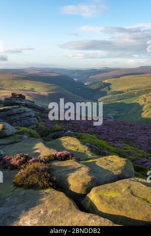 Krähe Steine Kante in Richtung Howden und Derwent Stauseen. Nationalpark Peak District, Derbyshire, UK. August 2015. Stockfoto