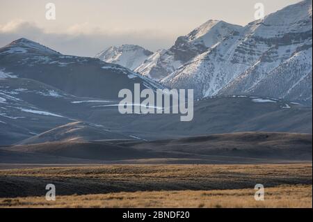 Sagebrush - Steppe am Fuße des Sawtooth Mountains. Clark County, Idaho, USA, April 2012. Stockfoto