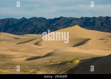 Khongor Sanddünen, South Govi Gurvan Saikhan Nationalpark, Wüste Gobi, Mongolei. Juni 2015. Stockfoto