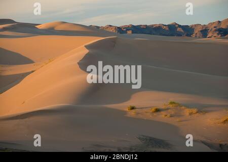 Khongor Sanddünen, South Govi Gurvan Saikhan Nationalpark, Wüste Gobi, Mongolei. Juni 2015. Stockfoto