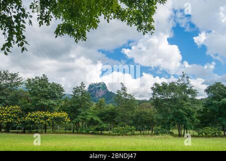 Taung Kalat hinter den flachen Feldern und Bäumen in Vorland auf Mount Popa buddhistische Kloster und Tempel Komplex in der Mandalay Region, Myanmar. Gebaut Stockfoto