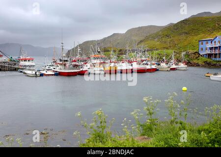 Schönes Fischerdorf Kamoyvaer, das entlang des Kamoyfjorden auf der Ostseite der Insel Mageroya liegt, nahe der Stadt Honningsvag. Stockfoto