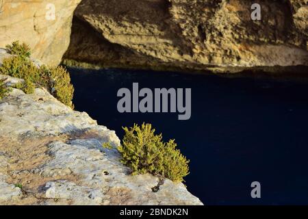 Schöne Aufnahme von Kalksteinfelsen in Migra il-Ferha, Maltesische Inseln, Malta an einem sonnigen Tag Stockfoto