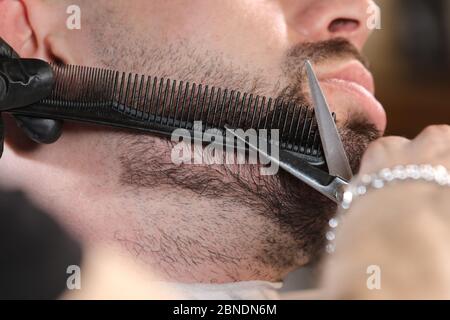 Haarschnitt eines Männerbarts in einem Friseurladen. Professioneller Meister-Barbier rasiert den Bart des Kunden mit einer Schere. Barbier Men. Werbung und Friseur Stockfoto