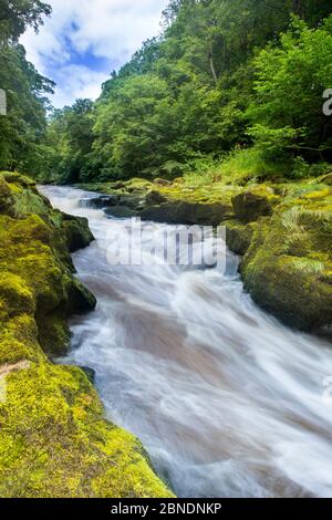 Die Strid, River Wharfe, Verschlusszeit, die Bewegung des Wassers, Bolton Abbey Estate, Wharfedale, North Yorkshire, August 2015 Stockfoto