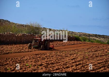 RABAT, MALTA - 12. Oktober 2014: Ein Traktor oder Erntemaschinen, landwirtschaftliche Fahrzeug, geparkt auf einem Feld, nach dem Pflügen der fruchtbaren terrarossa Boden. Landwirtschaft in M Stockfoto