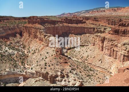 Goosenecks überblicken den Capitol Reef National Park, Utah, USA. Stockfoto