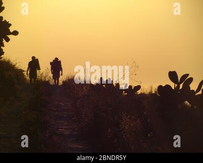 MGARR, MALTA - 19. Jul 2014: Zwei Freunde, die auf einer Landstraße wandern, mit Rucksäcken und Campingausrüstung in Richtung Sonnenuntergang, in der Landschaft von t Stockfoto